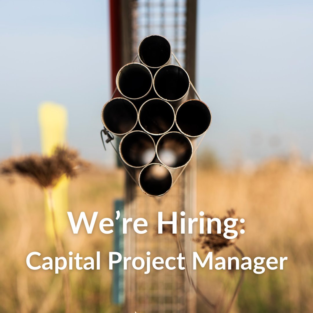 Join our team as Capital Project Manager as we embark on a new project, transforming an existing building into a new space for cultural and creative use. Find out more bit.ly/3UGXUWo