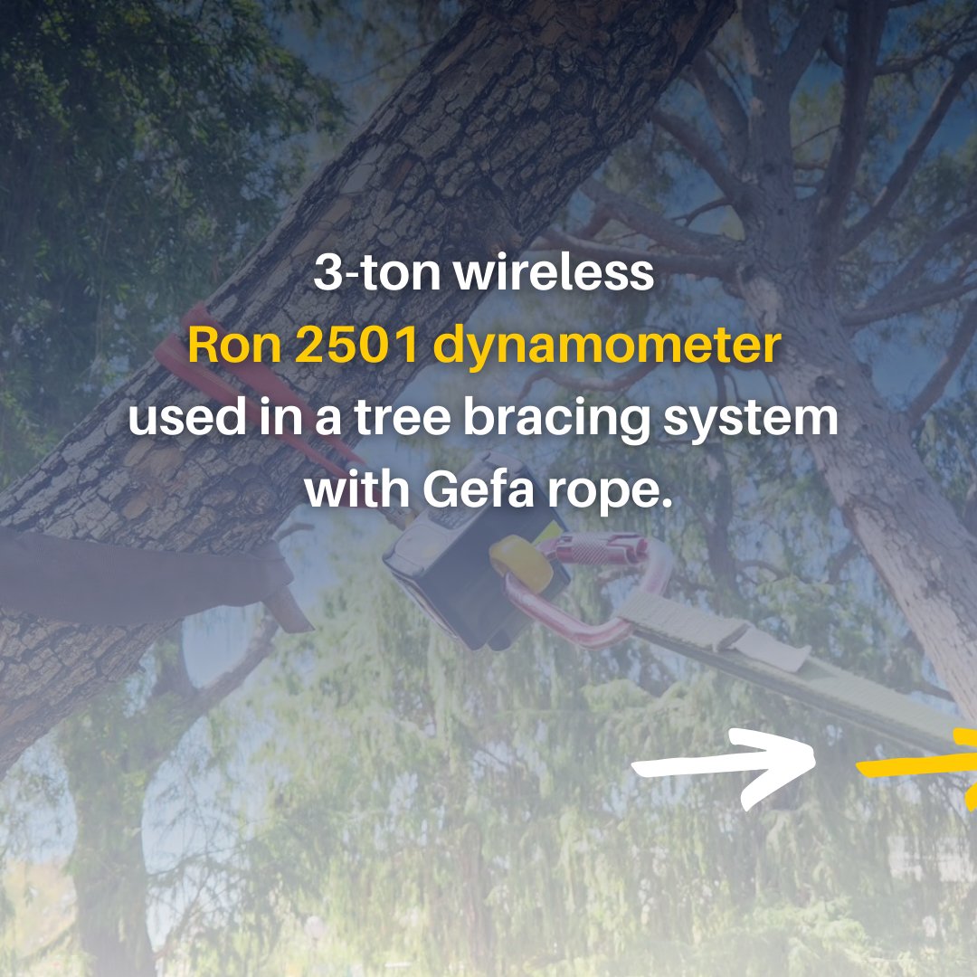 EilonEngineer's tweet image. 🌳 Here's a 3-ton wireless Ron 2501 dynamometer used in a tree bracing system with Gefa rope.

#treeassessment #arboriculture #treecare #treecabling #treebracing #arborist
#loadcell #dynamometer