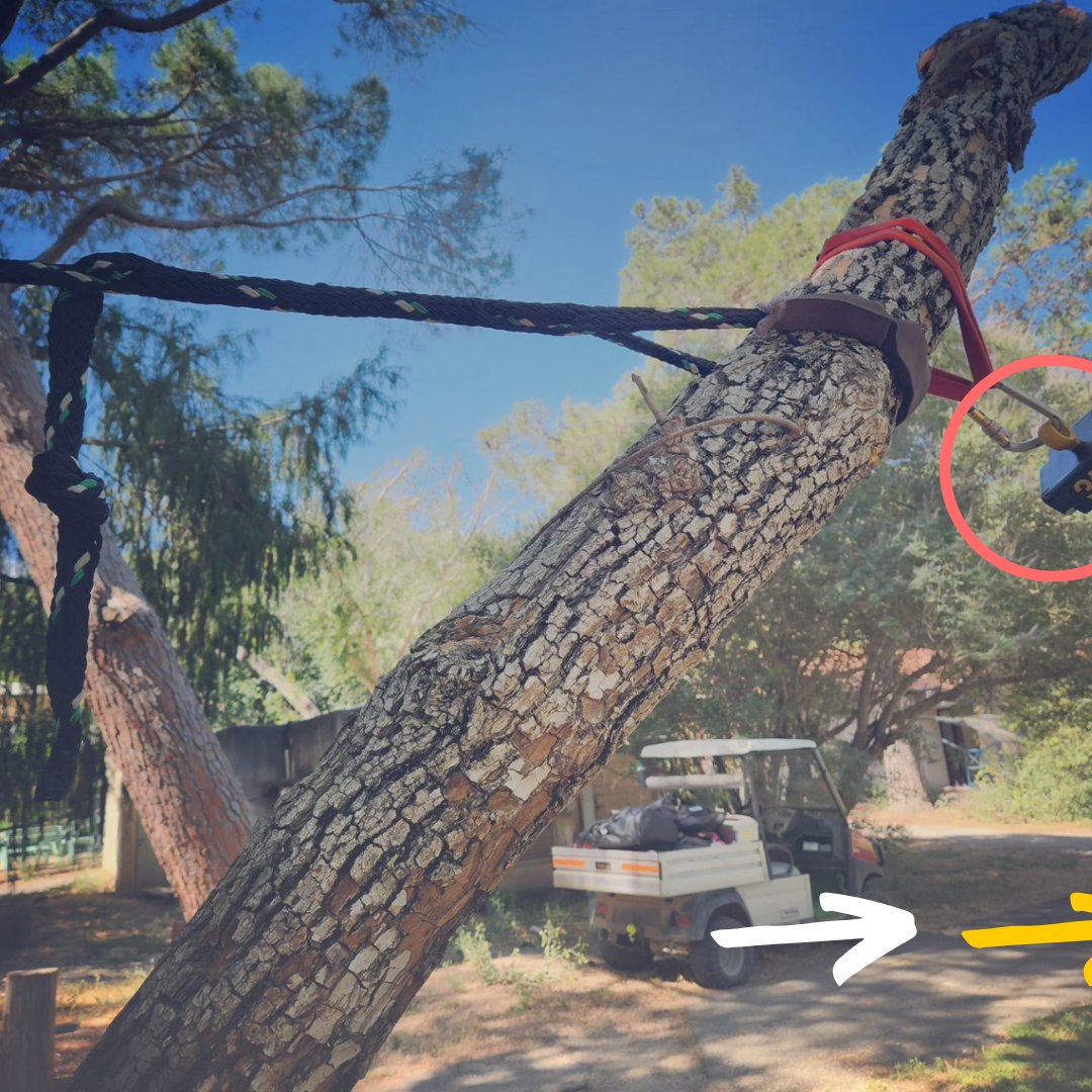 EilonEngineer's tweet image. 🌳 Here's a 3-ton wireless Ron 2501 dynamometer used in a tree bracing system with Gefa rope.

#treeassessment #arboriculture #treecare #treecabling #treebracing #arborist
#loadcell #dynamometer