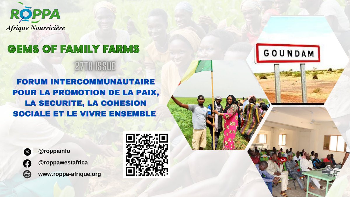 roppainfo's tweet photo. 🌟 Revolution for Peace in Mali! Discover the stunning success of the Intercommunal Forum for Peace Promotion. A giant leap towards unity and solidarity. 🕊️ Read more: https://t.co/TNtovQedkb  #PeaceInMali #SocialCohesion #ROPPA 🌍💪 https://t.co/AS7yUFLsAl