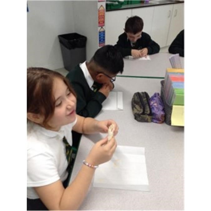 ClaycotsSchool's tweet image. 👩‍🍳 Year 4 culinary wizards at it again! 🌟 Transforming tradition in their Food and Nutrition DT project, these talented kiddos whipped up some scrumptious samosas. 🥟🍬 Sweet twists on the savory classic by a few daring minds.  #CreativeCooks #DTProject #SamosaMagic