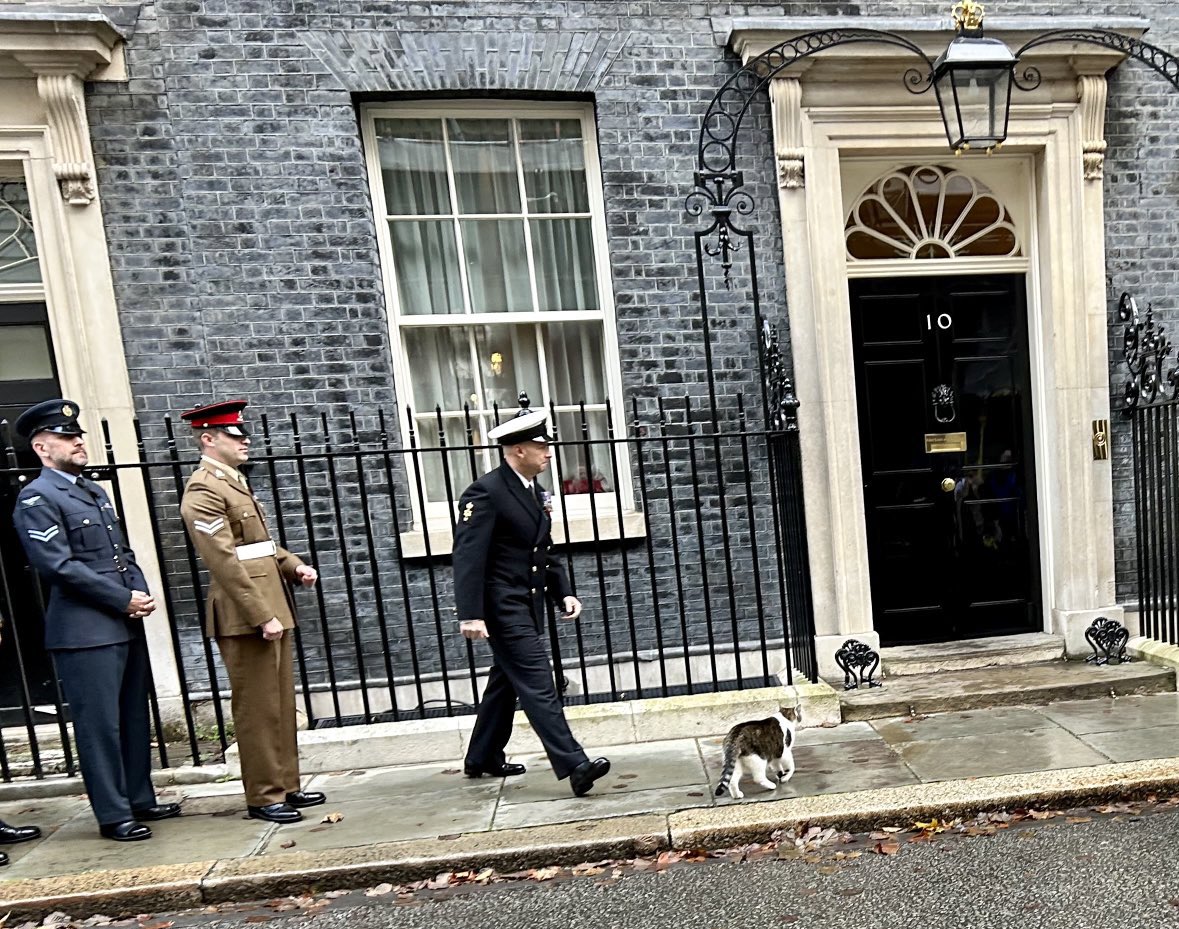 The combined British forces:
Royal Air Force
Army
Royal Navy
Cat
(Photo <a href="/PoliticalPics/">PoliticalPics</a>)