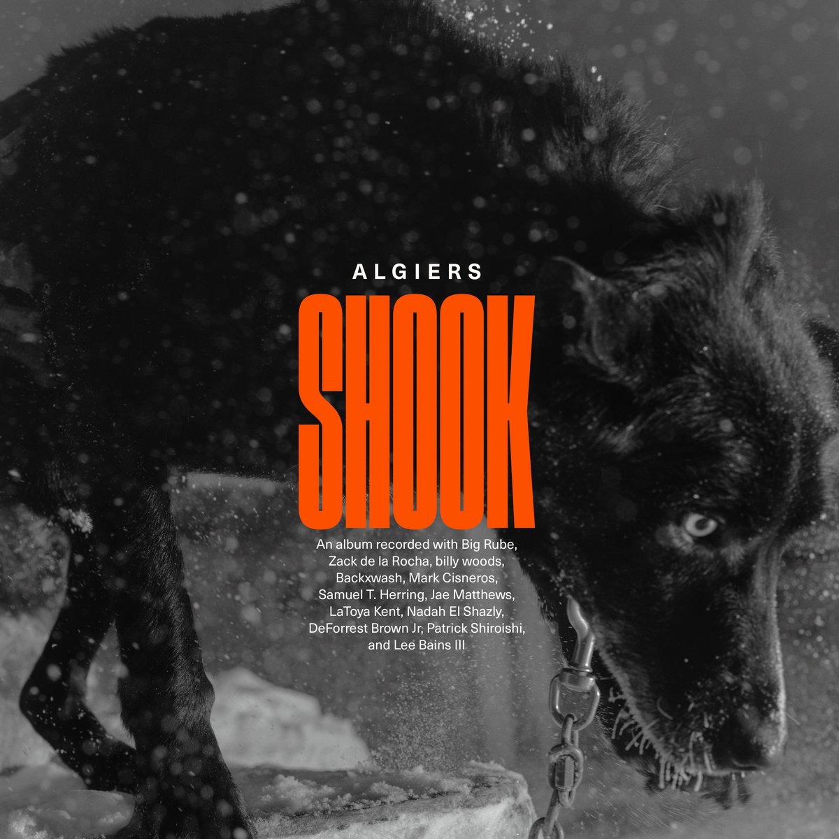 bvgh8018's tweet image. #NowPlaying_BVGH 
『Shook (Deluxe Edition)』(2023)
Algiers
96.0kHz/24bit
#Postpunk #PsychedelicSoul #Postworldbeat #Experimental