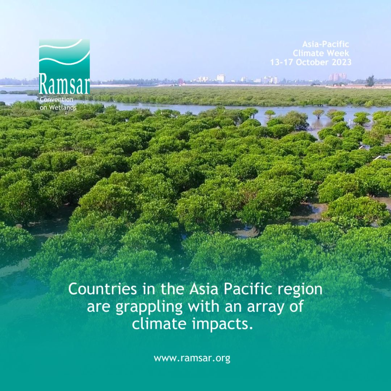 RamsarConv's tweet photo. The Asia Pacific region is more than just a place hit by climate challenges; it’s also source of climate solutions. With its diverse landscapes, including coastal mangroves and pristine coral reefs, it serves as a natural buffer against climate-related disasters.

#APClimateWeek