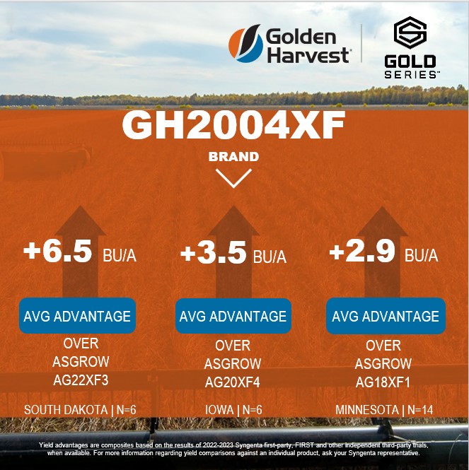 GldnHarvest's tweet image. NEW Gold Series soybean GH2004XF demonstrated strong advantages against Asgrow products.💪 Solid performance with strong disease tolerance makes this product one to consider for the 2024 season. 

See results in your area: bit.ly/3POpSOj

#GHHarvesttime