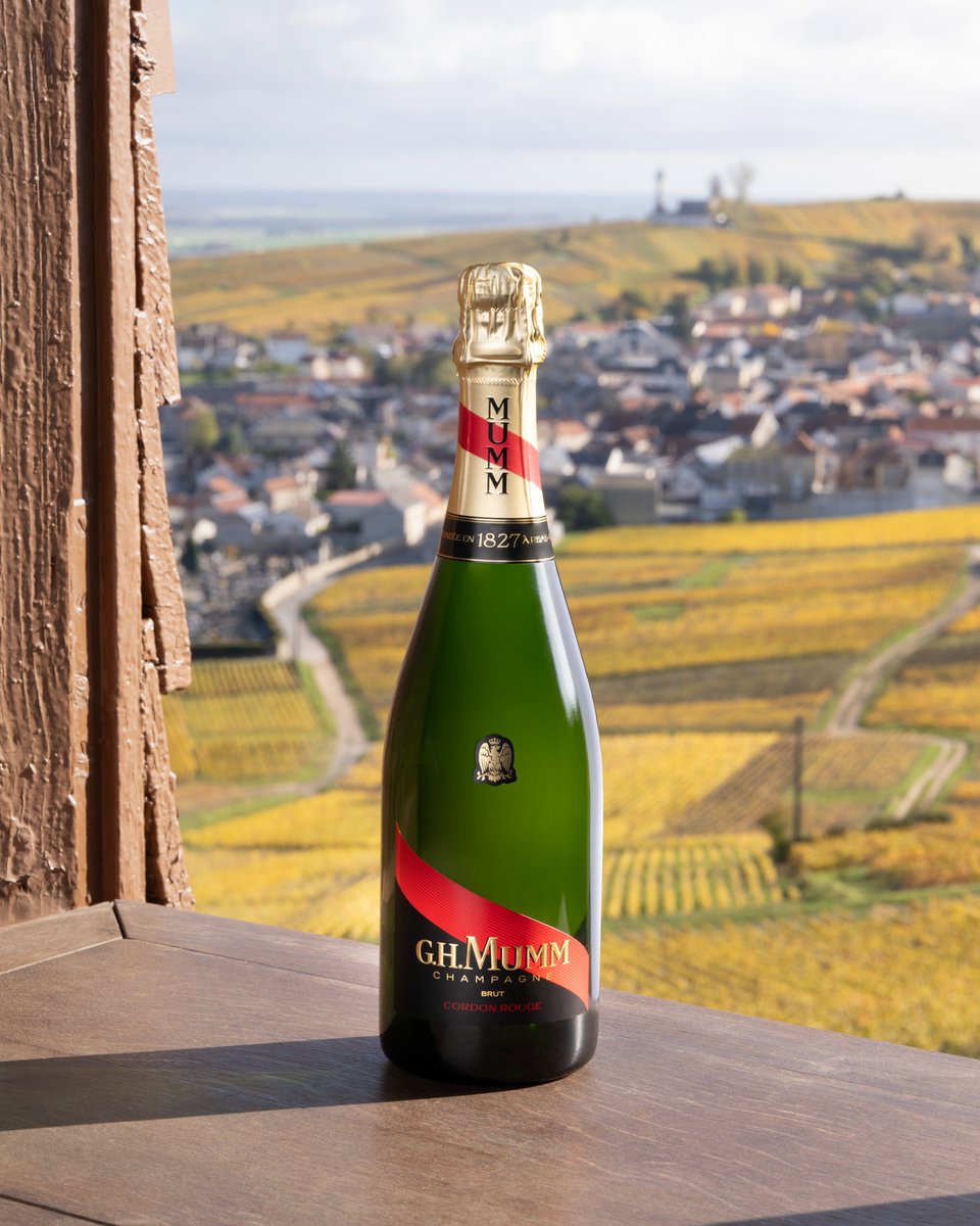 The autumnal hues remind us of Maison Mumm Cordon Rouge's special sparkle, expressing the fresh and vibrant Pinot Noir signature style.​

#Mumm #Champagne #SavoirFaire #Winemaking #PinotNoir #MummCordonRouge #Autumn​​

PLEASE DRINK RESPONSIBLY