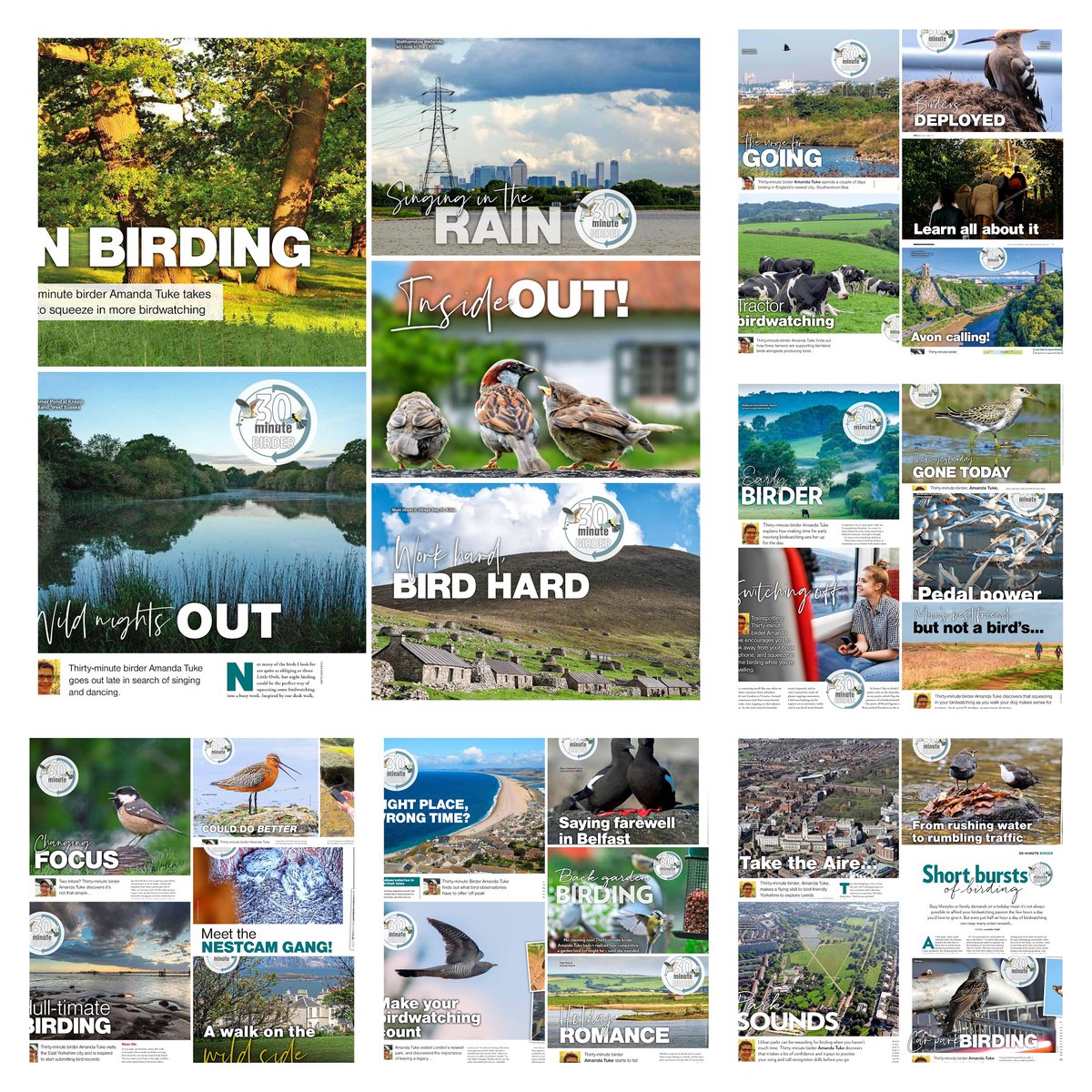 Amanda Tuke (@suburbanwilduk) on Twitter photo Just spotted that 30 features I've writtenfor my Thirty-minute Birder column in <a href="/BirdWatchingMag/">Bird Watching</a>... have now been published & there are more in the pipeline. 🥳💚 freelancenaturewriter.com/2023/11/14/30-… Just spotted that 30 features I've writtenfor my Thirty-minute Birder column in <a href="/BirdWatchingMag/">Bird Watching</a>... have now been published & there are more in the pipeline. 🥳💚 freelancenaturewriter.com/2023/11/14/30-…