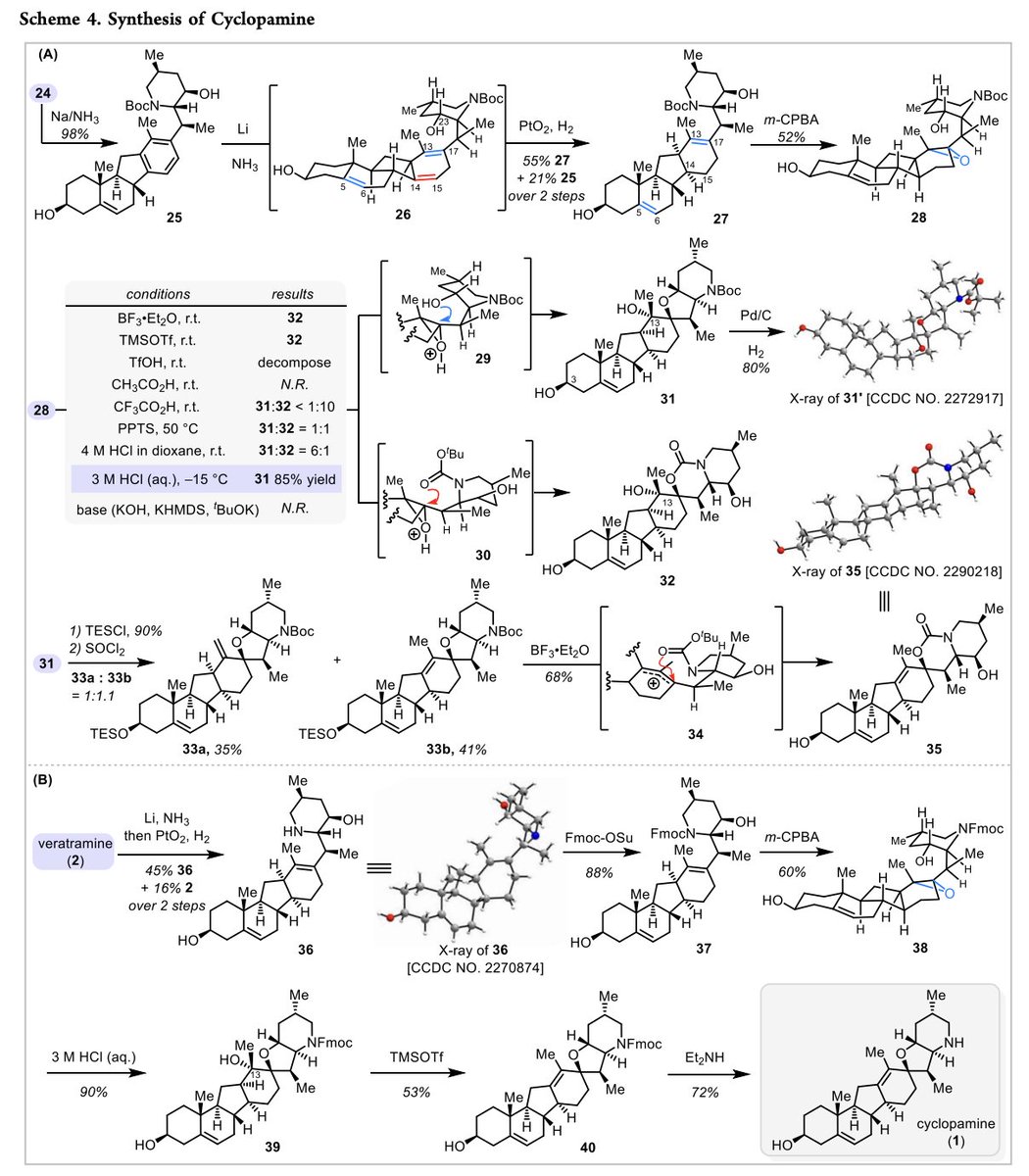 Total Synthesis (@totalsynthesis) on Twitter photo Asymmetric #Synthesis of Cyclopamine, a Hedgehog (Hh) Signaling Pathway Inhibitor by Hao Shao, Wenheng Liu, Muhan Liu, Haibing He, Qi-Lin Zhou, Shou-Fei Zhu, and Shuanhu Gao in <a href="/J_A_C_S/">J. Am. Chem. Soc.</a> pubs.acs.org/doi/10.1021/ja… Asymmetric #Synthesis of Cyclopamine, a Hedgehog (Hh) Signaling Pathway Inhibitor by Hao Shao, Wenheng Liu, Muhan Liu, Haibing He, Qi-Lin Zhou, Shou-Fei Zhu, and Shuanhu Gao in <a href="/J_A_C_S/">J. Am. Chem. Soc.</a> pubs.acs.org/doi/10.1021/ja…