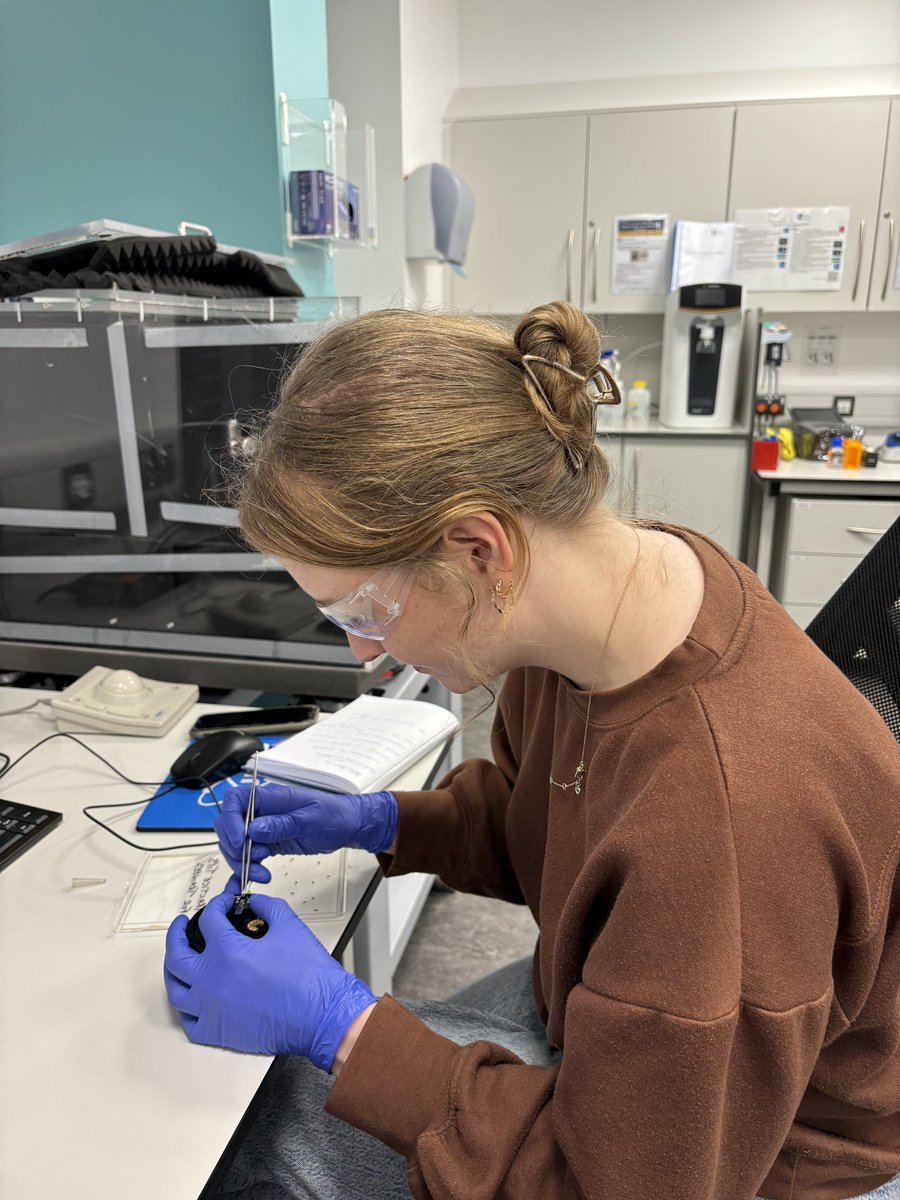 New and Emerging Semiconductors Group tweet media