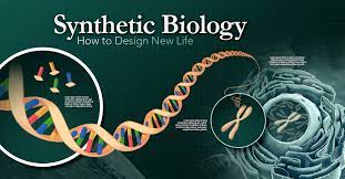 OpenOppenheimer's tweet photo. #Synthetic Biology: Non-Symmetric Assemblies in Synthetic Biology: Unr... https://t.co/10742nN3Qa 
#Future #ScienceWeek #scienceweek2023 #Biology #ResearchRewards https://t.co/YGc0Ot5ZkL