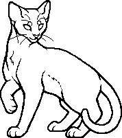 HAITUS - Warriors Character Of The Day tweet media