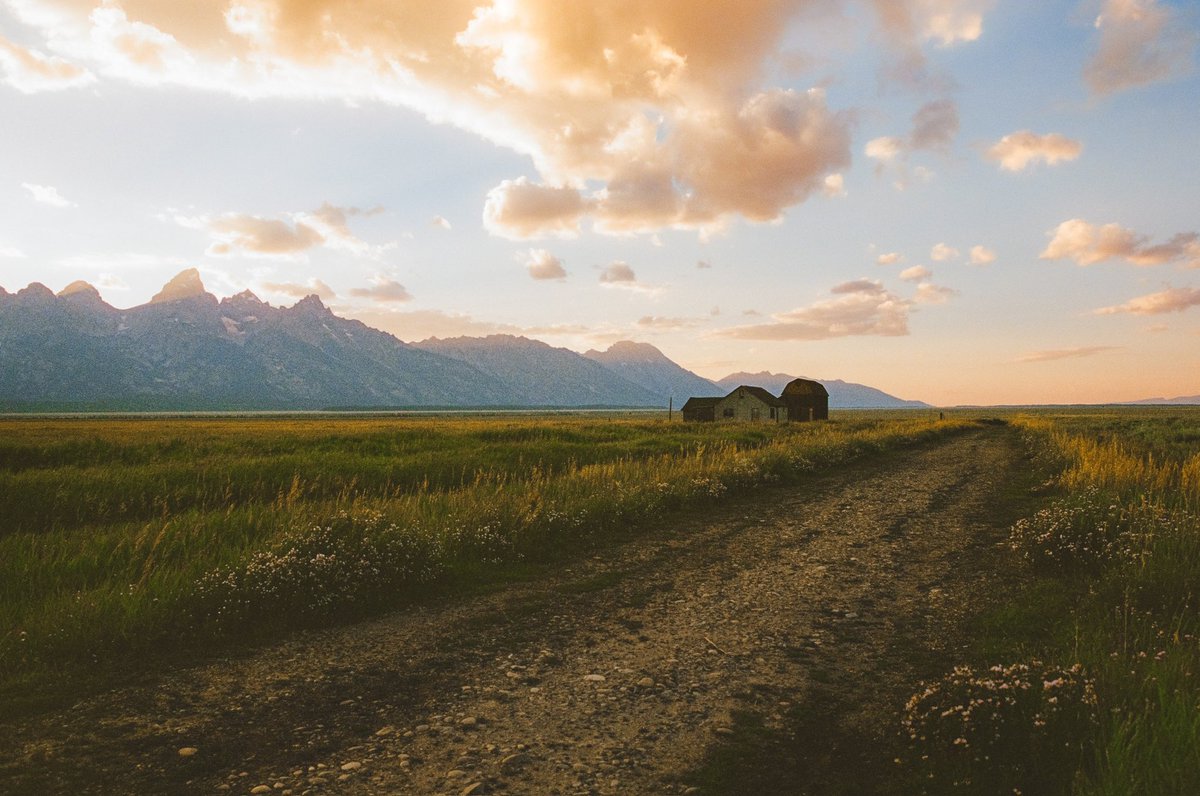 summertime scenes, on 35mm film 🎞️