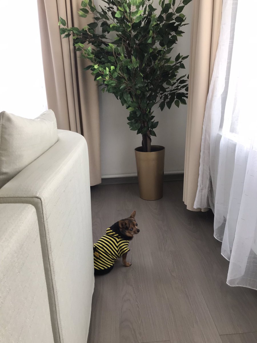 10жил хамтдаа байгаа Roxy😍