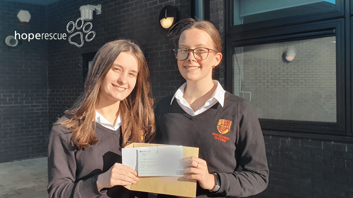 HopeRescue's tweet photo. A huge thank you to everyone @Bryn_Celynnog  for supporting Hope Rescue.

Head girls Ella and Phoebe organised a bake sale and non-uniform day,  raising an incredible £709. 

Thank you to all the pupils at the school who helped to raise this amazing total 🌟

https://t.co/ranZ9PjMAe
