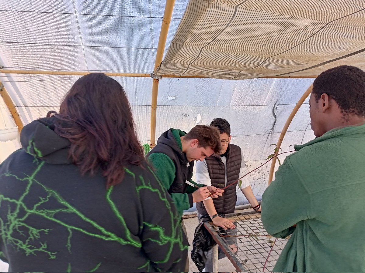 Ana__FOL's tweet photo. Fomentando el #AprendizajeServicio con 2° de Paisajismo y Medio Rural del @CPIFP_Movera. Han creado "Huerto Amigo", dedicada, entre otras, a realizar acompañamientos con estudiantes del centro a través de distintos talleres! Todo un éxito! #OtraFormaDeEmprender #AprendiendoJuntos https://t.co/bDfyORRzbn
