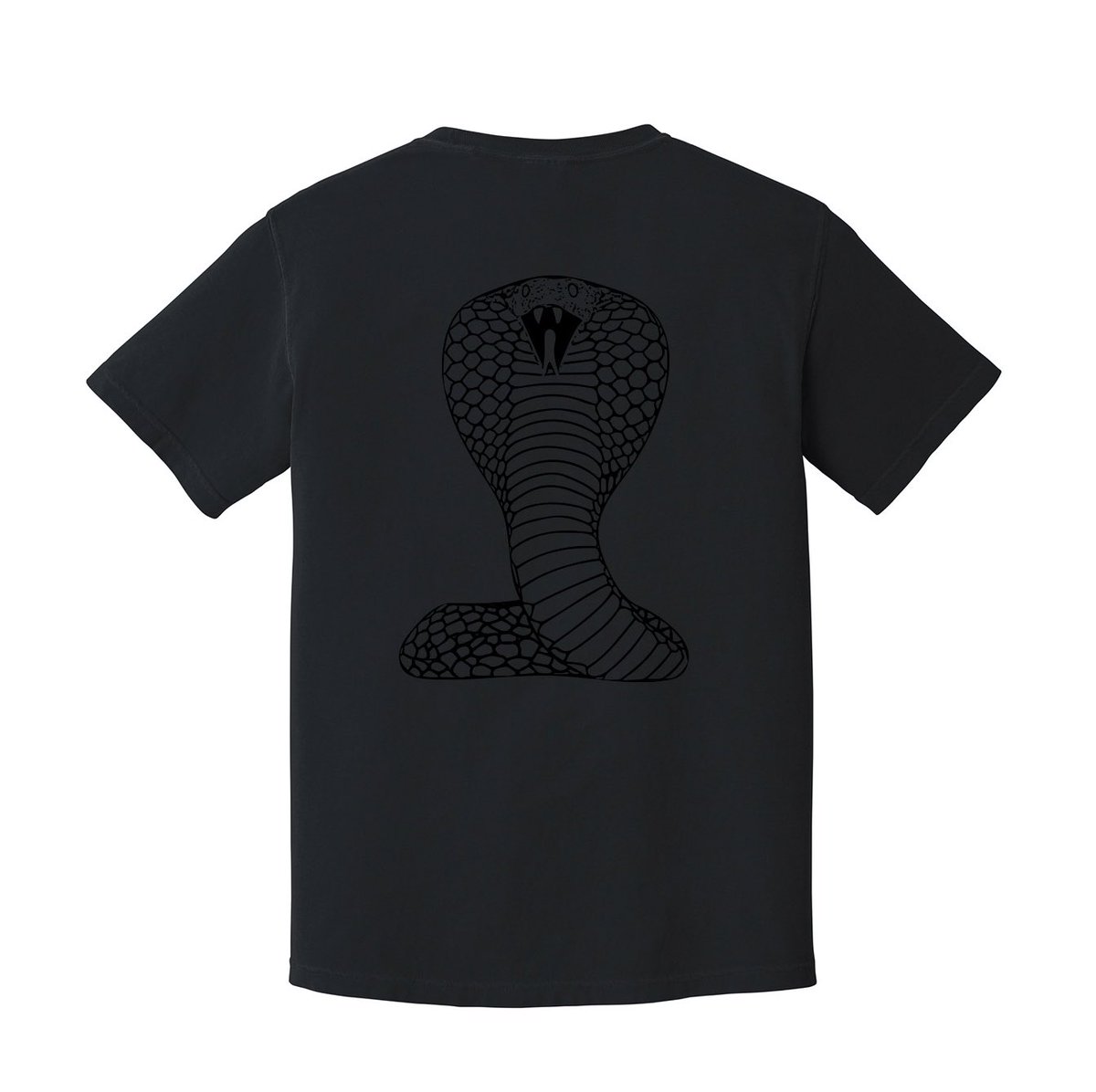 heart2song's tweet photo. What if I put these in my shop for pre order 👀🐍 https://t.co/c1lJapEY7A