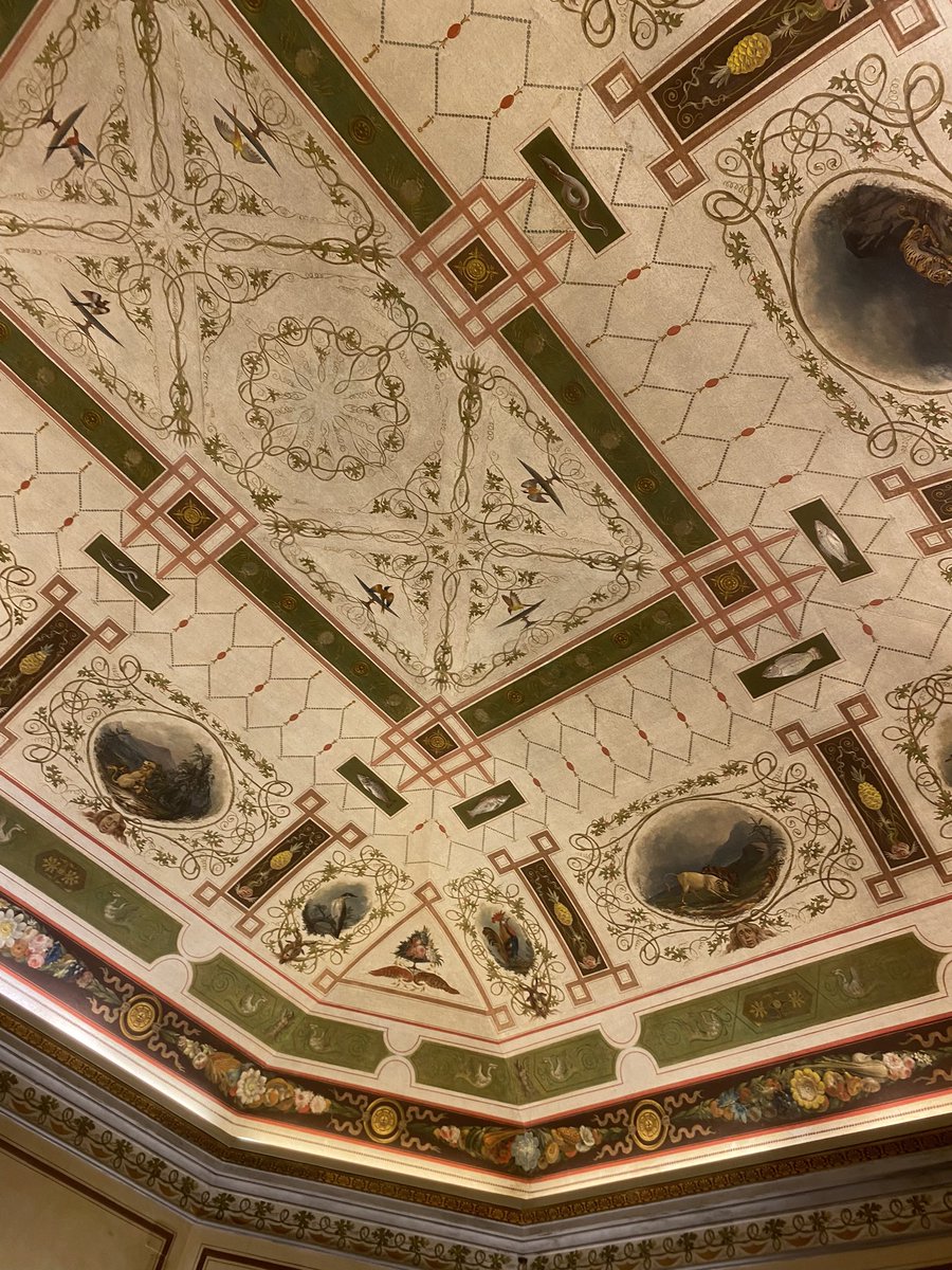 Moscato Pagnoncelli tweet media