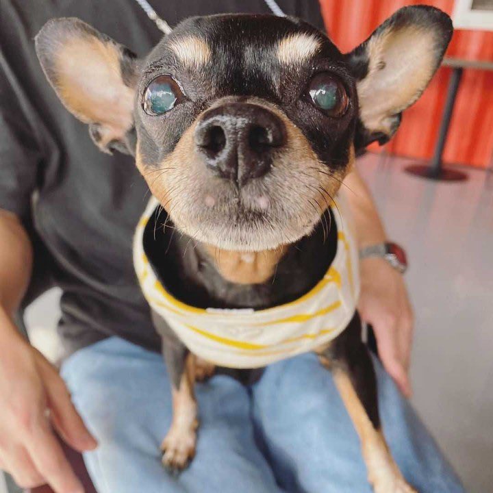 사랑해 꼭 다시 만나❤️