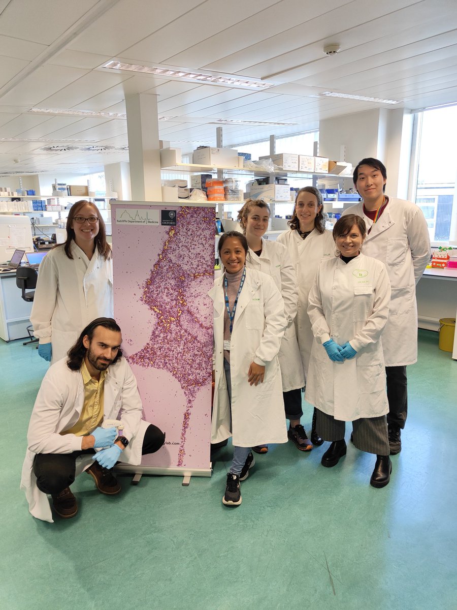 These are the people that make the diabetes research roll on #WorldDiabetesDay! <a href="/OCDEM/">OCDEM</a> <a href="/RDMOxford/">RDM Oxford</a>