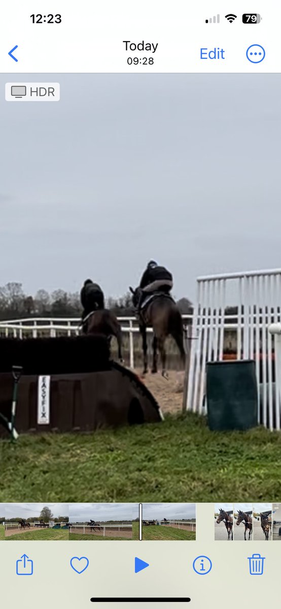 NickBrownRacing's tweet image. Safe to say Auditoria was in fine form this morning!! #buckaroo