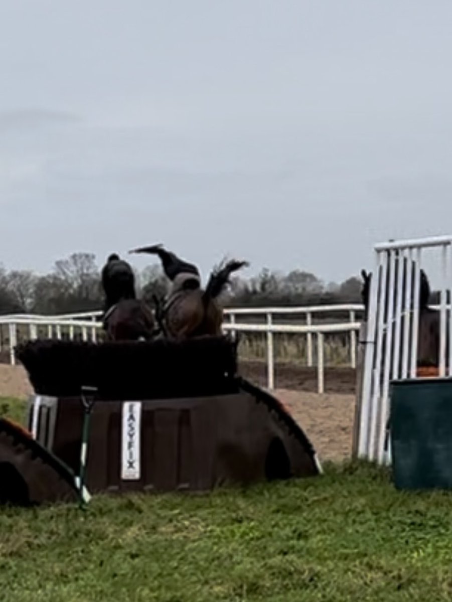 NickBrownRacing's tweet image. Safe to say Auditoria was in fine form this morning!! #buckaroo