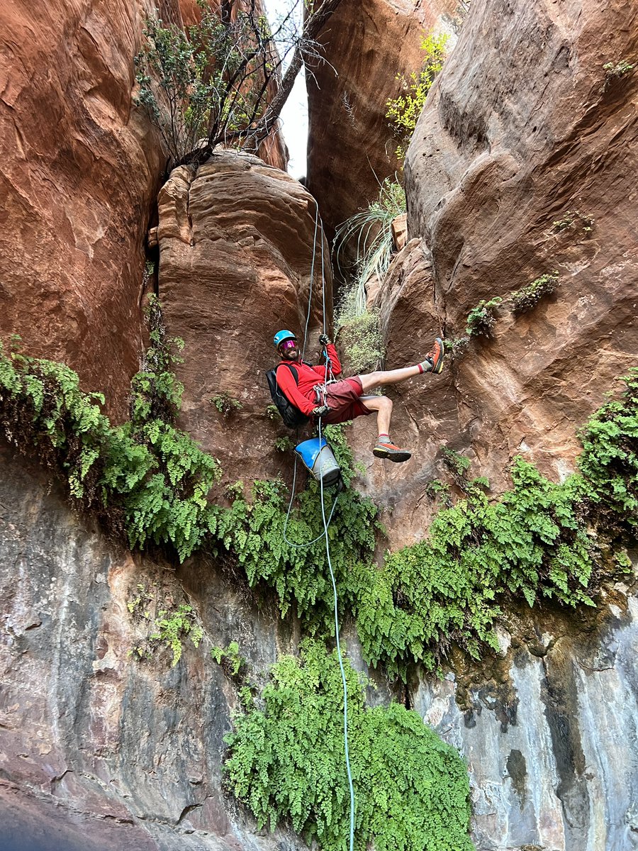 aëëge 🐀 tweet media