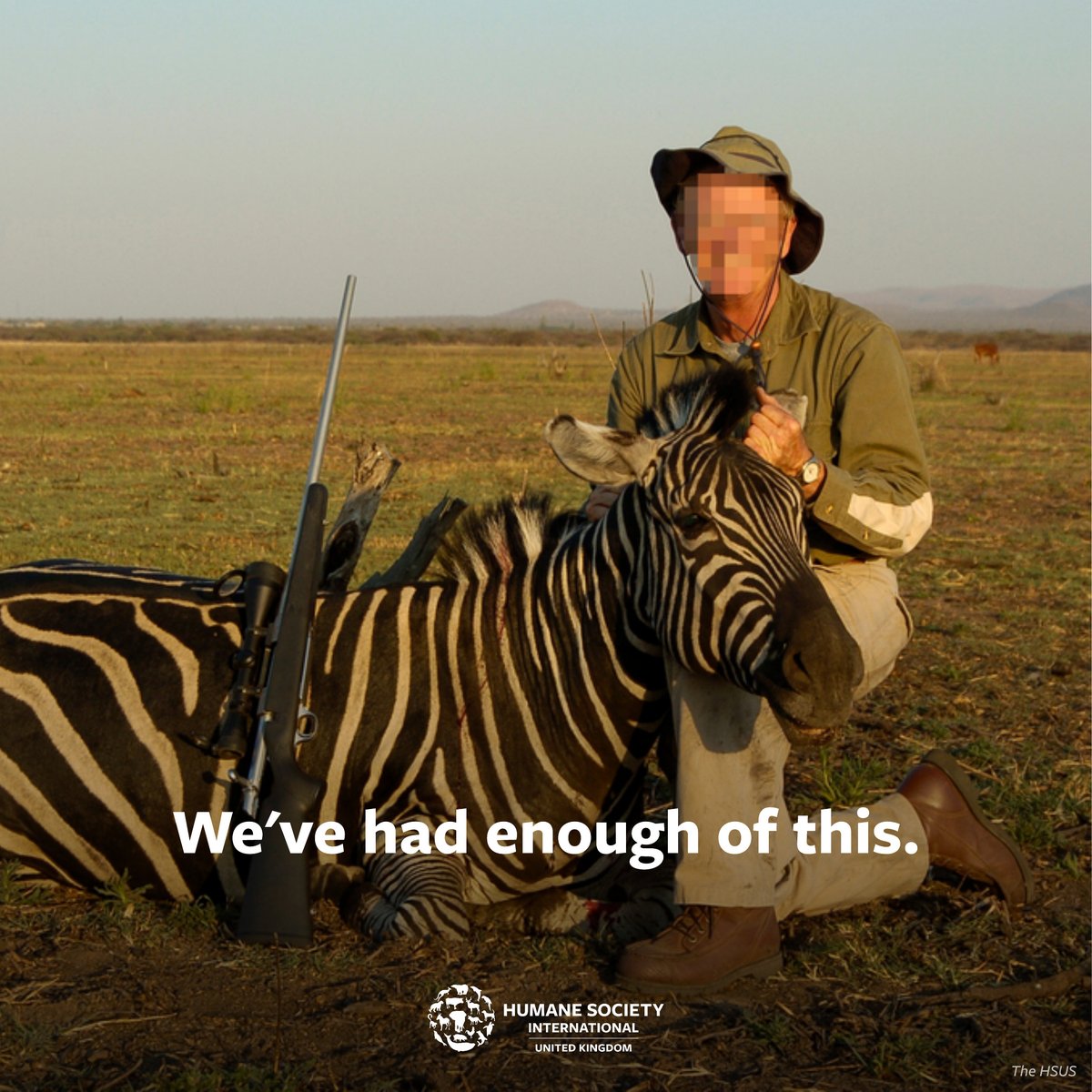 humaneworlduk's tweet photo. During the August 2022 Conservative leader campaign @RishiSunak sent us this letter, providing assurances that he'd take #ActionForAnimals. He was committed to #EndTrophyHunting imports. @SteveBarclay now at the wheel to deliver this promise, wildlife and voters deserve it!
Sign the new petition: https://t.co/5WmgwB3di0