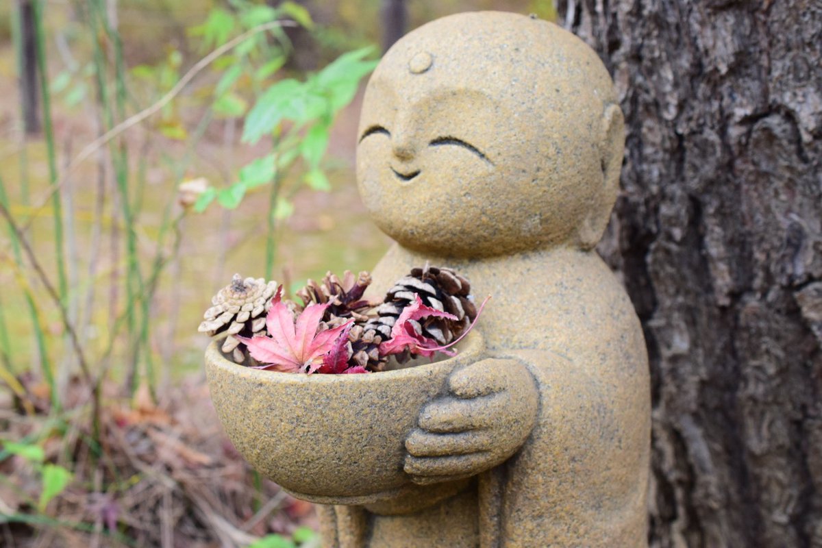 satopupu1's tweet photo. ■タイトル：ほっこり
■撮影スポット：東漸寺　松戸市
■投稿者から一言：お地蔵さんの表情と紅葉に癒されました。
#ちばとぴフォト部投稿 https://t.co/IUPqSBzdfC