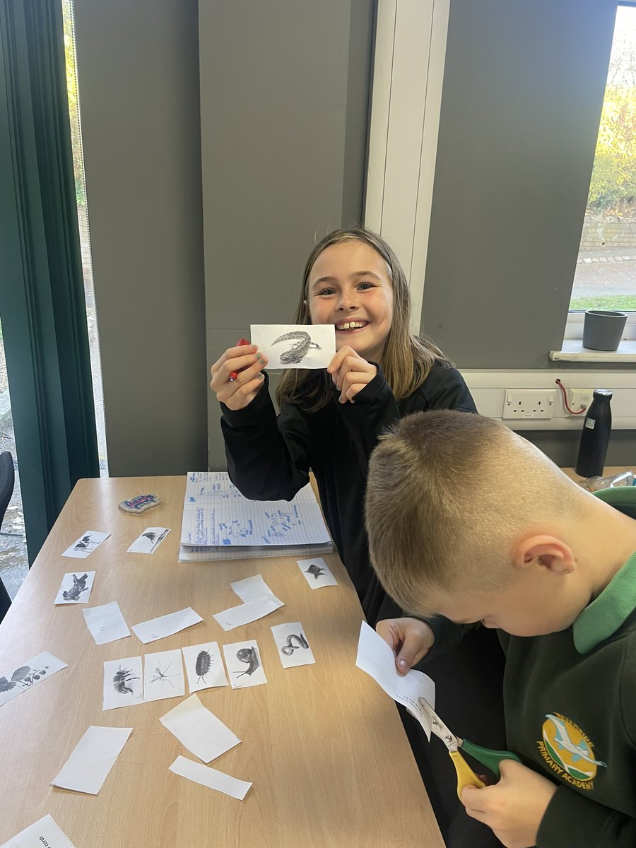 Gade_WPA's tweet photo. In science today Year 6 began their topic of classifying animals using key characteristics. In groups we grouped up animals in different ways including vertebrate and invertebrate animals! #WatersideScience https://t.co/k6hrawujFZ