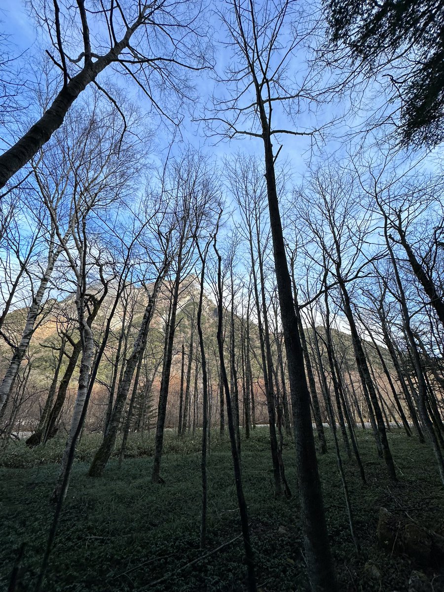 本日もお疲れ様でした
人間は歳を取れば「未経験」が減っていきます。新知識を学んだり、ダメ出しされることもなくなっていく。脳味噌が酸化して可動域が狭まっていく。ここで勇気を出して「未経験」に踏み込み続けることが大切。
 #企業公式がお疲れ様を言い合う 
 #企業公式秋のフォロー祭り