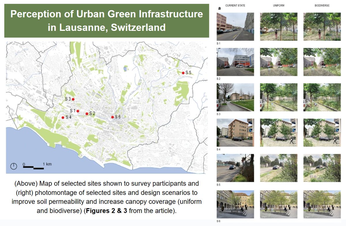 Residents of Lausanne, Switzerland, were surveyed on the role of urban green infrastructure (UGI) in promoting biodiversity and planting composition. These perspectives offer insight into future designs of urban environments.  

doi.org/10.1007/s10584…
