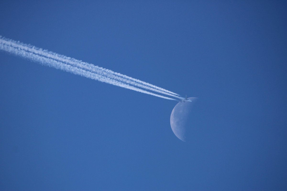 We Are Boeing SC tweet media