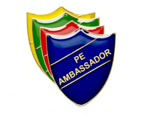 PE AMBASSADORS
Thank you to all those students who have submitted an application for the role of PE Ambassador.  The deadline for applications is Friday 17th November.  Come on - get involved!