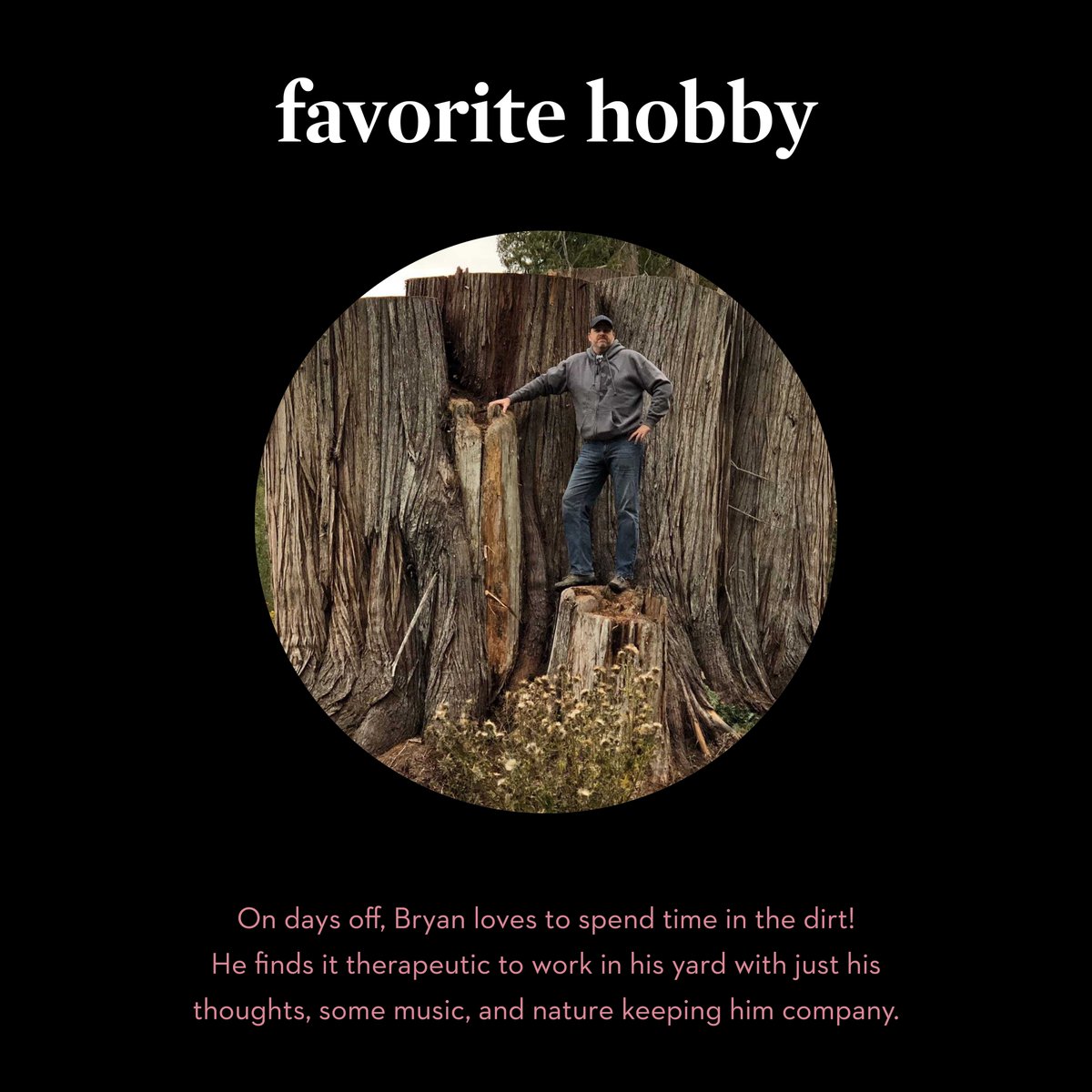 Flyhomes tweet media