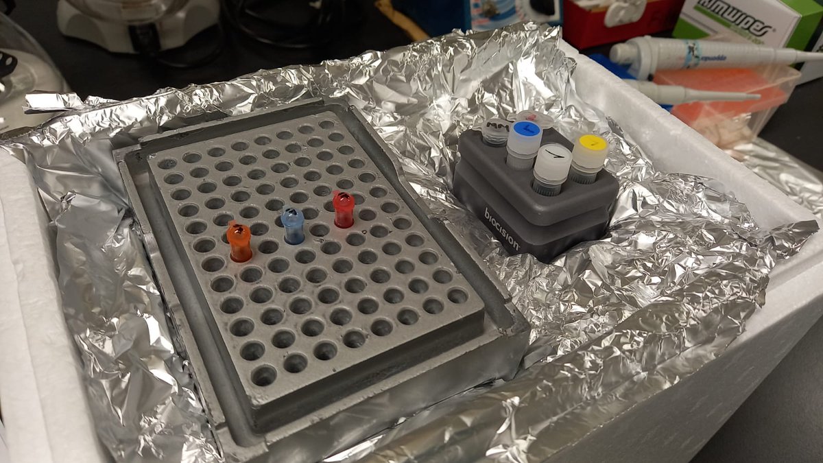 Croc_Research's tweet image. 🧬 Unraveling the Secrets of RNA-seq! 🧩🔍
How does not RNA-seq differs from qRT-PCR and microarrays? 🤔 Let's break it down:
In qRT-PCR & #microarrays, we pick specific #genes to understand responses (e.g., studying estrogen regulated genes due to a pesticide's effects).