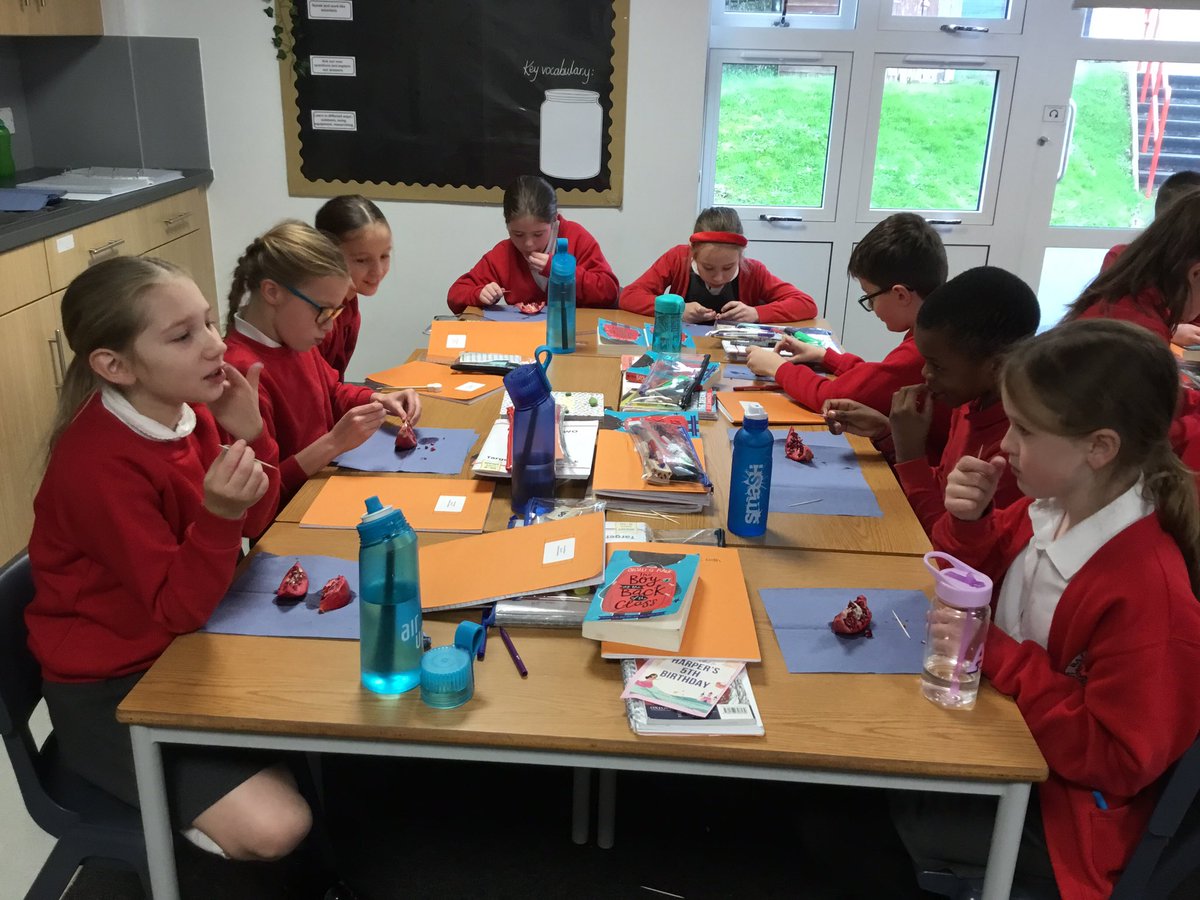 Today in Guided Reading we enjoyed eating pomegranates like Ahmet in The Boy at the Back of the Class <a href="/BalshawLaneCPS/">Balshaw Lane Primary</a> <a href="/OnjaliRauf/">onjali rauf</a>