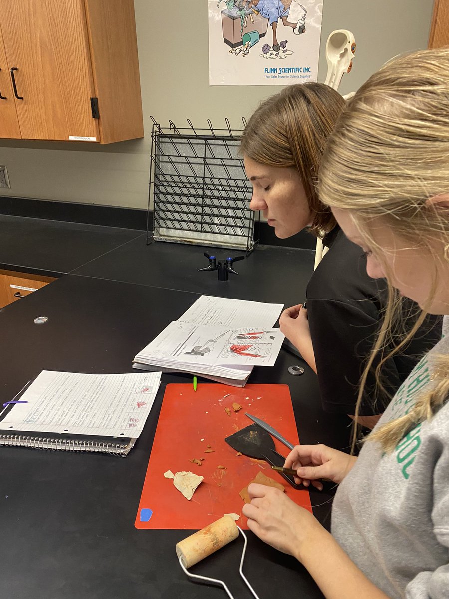 Anatomy of chest muscles is in full swing in HBS. @ThePelhamWayPRN <a href="/shannonbogert1/">Shannon Bogert</a> <a href="/val_slay/">Val Slay</a>