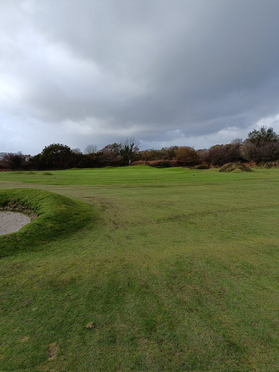 Tom Sheffield tweet media