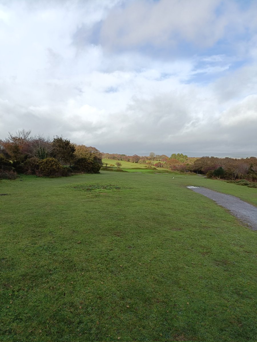 Tom Sheffield tweet media