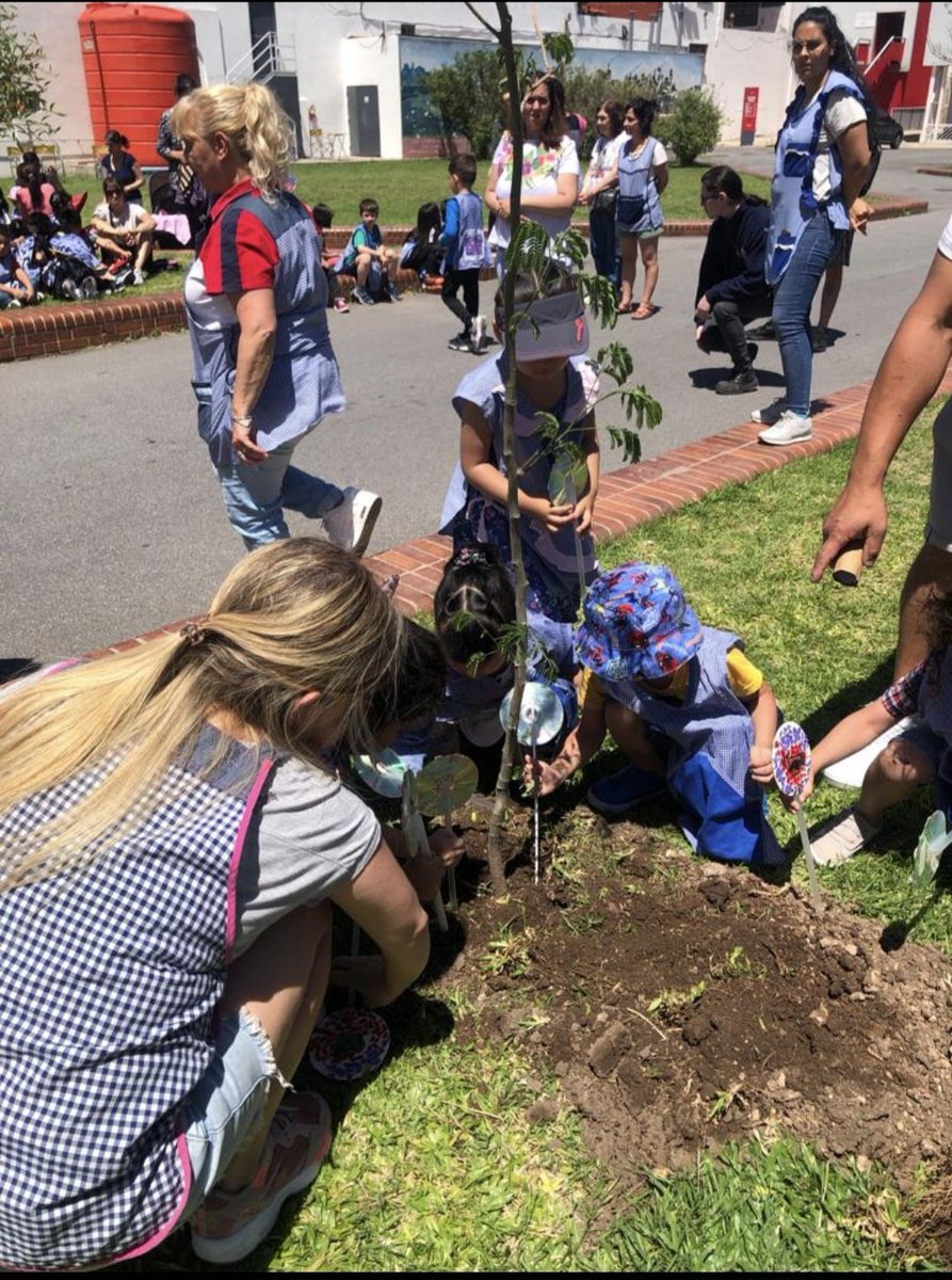 CaslaSocial's tweet photo. 📌 En el marco del Programa Escuelas Verdes y en conmemoración por los #40AñosDeDemocracia, nenas y nenes del Jardín Integral Nucleado JIN C, invitados por la Subcomisión de DDHH y por el Área Sustentabilidad de #SanLorenzo, plantaron 2 árboles en el Polideportivo Roberto Pando. https://t.co/x9VsH4n2Se
