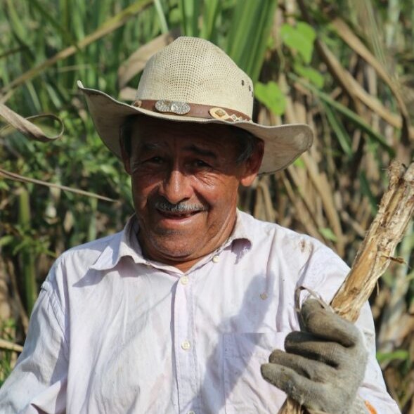 AgenciaTierras's tweet photo. ✅ Aprobado el Plan de Desarrollo Sostenible para constituir Zona de Reserva Campesina en Togüí, Boyacá 👩🏼🌾
La solicitud de esa comunidad se realizó hace ya una década y solo ahora se avanza para la constitución 👉 https://t.co/UhCFP4Y86j https://t.co/3UEiZNHQJt