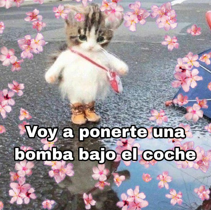frigosouul's tweet photo. hay chicas que son como "✨💕💖🌹💫"

y en realidad son esto: https://t.co/cWr9alhlIh