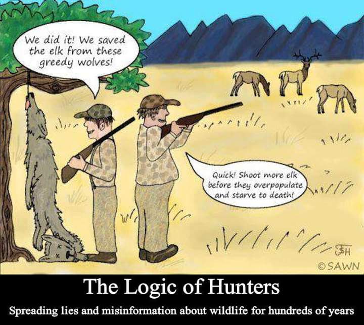 @_AnimalAdvocate @CBTHunting @rickygervais @ProtectWldlife @PeterEgan6 @Veganella_ @hilltopgina @RobRobbEdwards @NickTaylorLLB @domdyer70 @ARCrusade @HuntSabs Once a Cnt always a CNT! #Bantrophyhunters People who get away with murder.