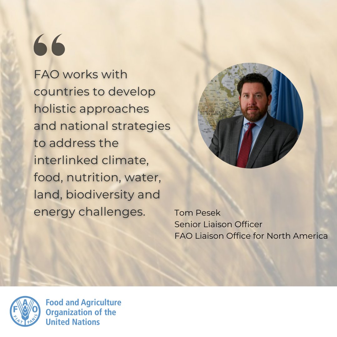 FAONorthAmerica's tweet photo. Speaking at #AFoodSummit session on policy & advocacy in food systems at global and local levels, @tom_pesek highlighted how @FAO is supporting Member countries to achieve sustainable development pathways through agrifood systems transformation.
More 👉 https://t.co/HM7PITJXKs https://t.co/1BY0AigkY9