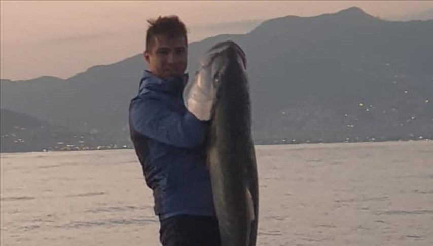 _0_anime_0_'s tweet image. Alanya'da amatör balıkçı Rüştü Mert Kesmen'in oltasıyla yakaladığı dev Akya balığı 1.60 metre uzunluğunda ve 41 kilogram ağırlığında! 🎣🌊 #BalıkAvı #Akya #Alanya

sondakika.pro/turkiye/alanya…