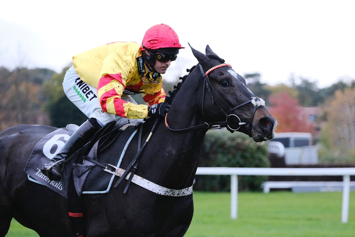 Tattersalls Cheltenham (@tattscheltenham) on Twitter photo #TattJCSales sponsoring <a href="/Sandownpark/">Sandown Park</a>
Upcoming sales
🗓️ #CheltenhamNovember: Friday, after racing
🗓️#TingleCreek Sale: Dec 9
🗓️ #CheltenhamDecember: Dec 15 #TattJCSales sponsoring <a href="/Sandownpark/">Sandown Park</a>
Upcoming sales
🗓️ #CheltenhamNovember: Friday, after racing
🗓️#TingleCreek Sale: Dec 9
🗓️ #CheltenhamDecember: Dec 15