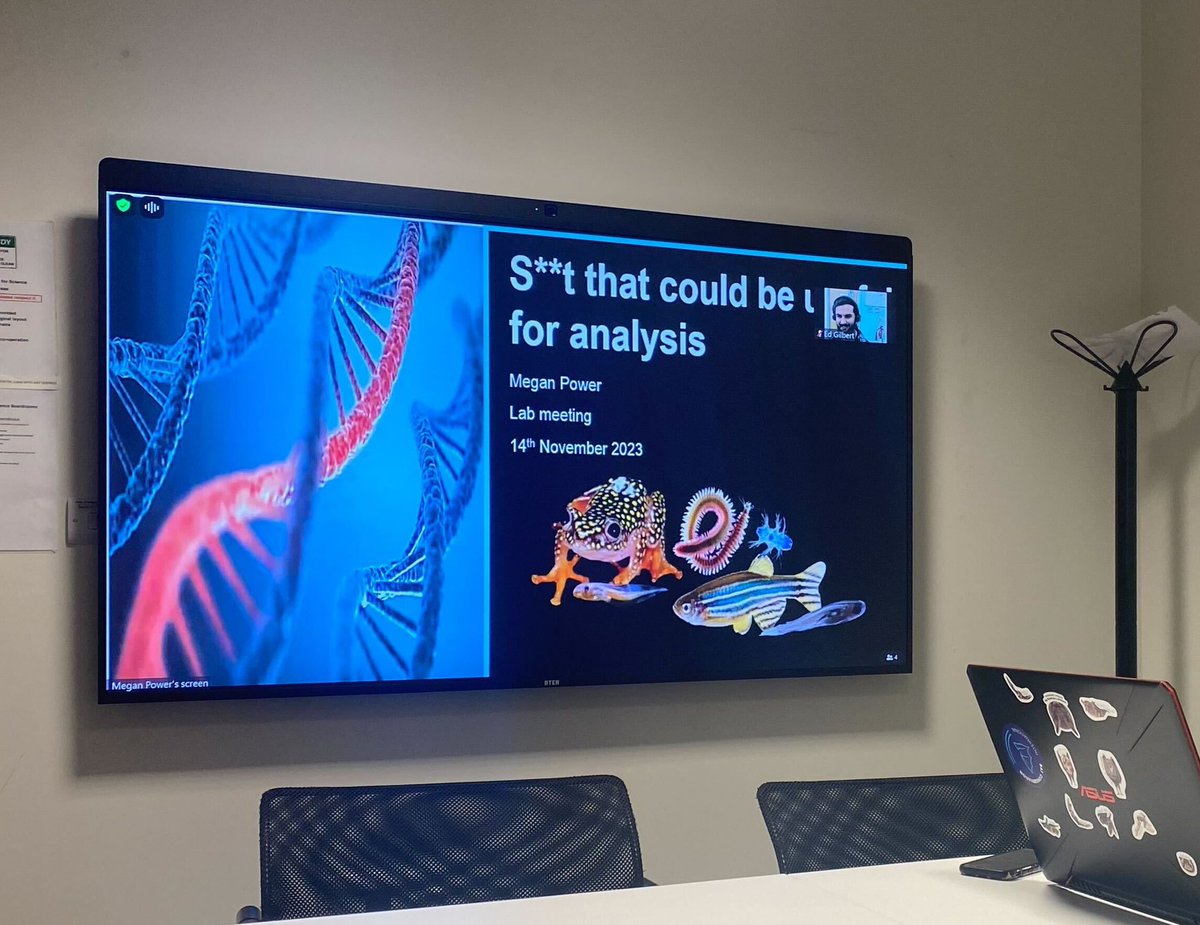 In todays labmeeting @MeganPower101 introduced a deep neural network to measure #zebrafish heart rates via #DeepLabCut and we couldn’t be more excited! We’ll have a model training day in the new year to see what else we can apply this to.. #MolStressH2O