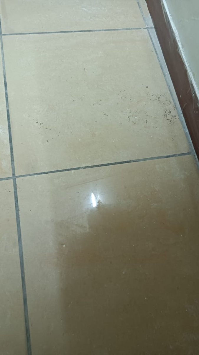 Someonejigar's tweet photo. Day2-Complained for day 1 and in return got suggested a new hotel for my next stay location.said if I pay online now.will get xyz amount off, when I reached the hotel it shows payment pending, rooms highly unclean, manager refused basic toiletries. waste of money, ID:H7ND8192 https://t.co/4aueS1yVp6