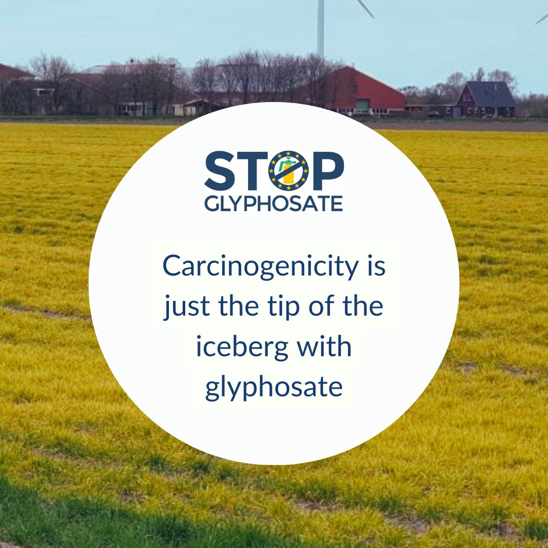 Thursday, Member states decide on the 10-year #glyphosate renewal proposal. Recent scientific data shows glyphosate can cause leukaemia in rats, even at EU-deemed safe doses. @vonderleyen, 160 NGOs urge the Commission to #StopGlyphosate.
@MarosSefcovic
pan-europe.info/resources/lett…