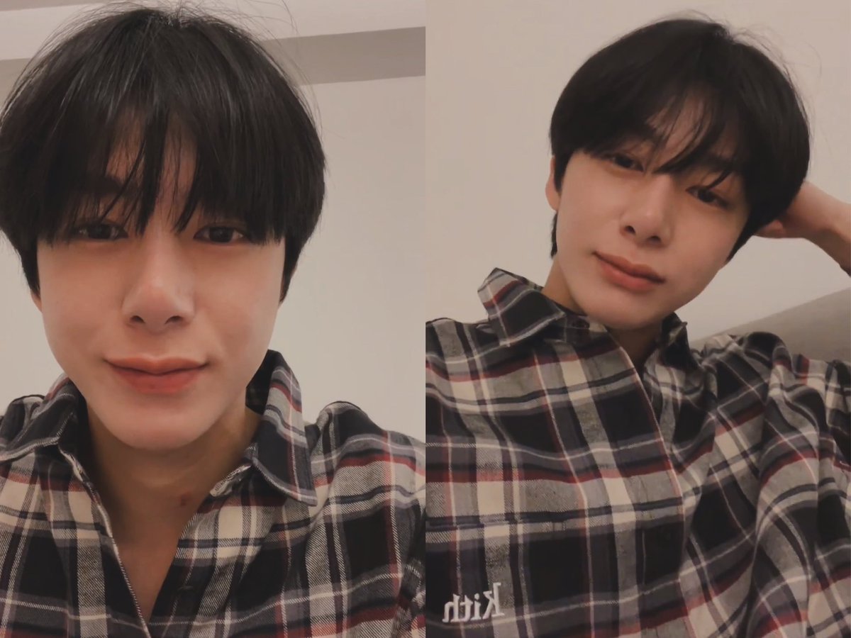 윤돌체 tweet media
